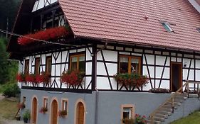 Steinhof