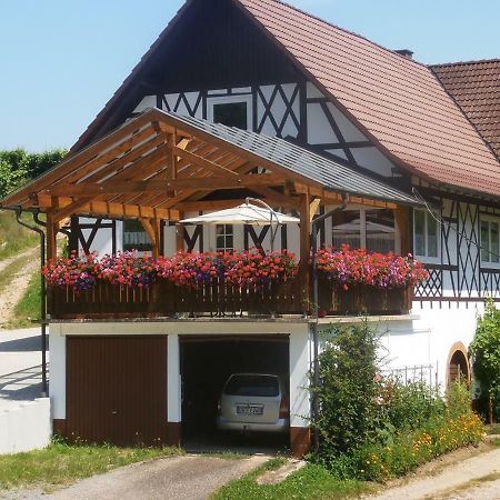 Apartamento Steinhof Oberkirch  Exterior foto