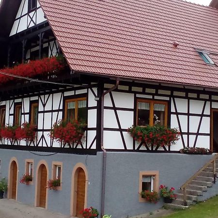 Apartamento Steinhof Oberkirch  Exterior foto