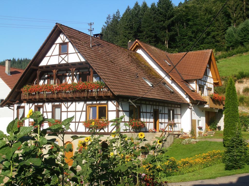 Apartamento Steinhof Oberkirch  Exterior foto