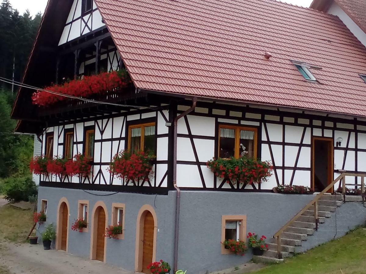 Apartamento Steinhof Oberkirch  Exterior foto